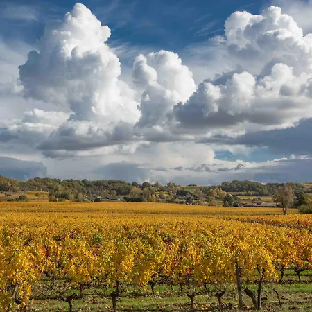 ベッド・アンド・ブレックファスト Chateau Du Palanquey & 4*