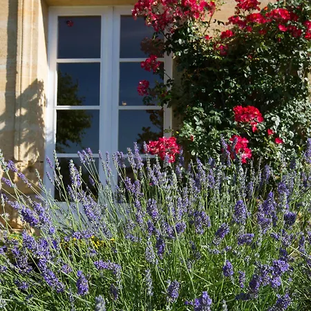 Chateau Du Palanquey &