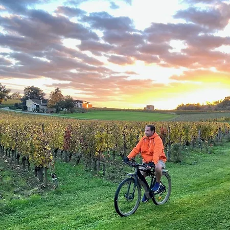 Chateau Du Palanquey & 4* Sainte-Colombe (Gironde)