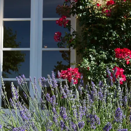 Bed & Breakfast Chateau Du Palanquey & 4*