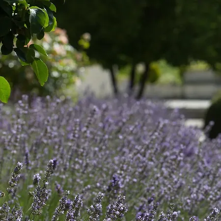 Bed & Breakfast Chateau Du Palanquey & Sainte-Colombe (Gironde)