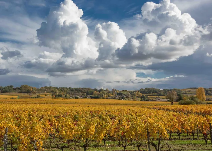 Bed & Breakfast Chateau Du Palanquey & 4*