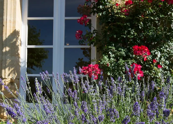 Bed & Breakfast Chateau Du Palanquey & 4*