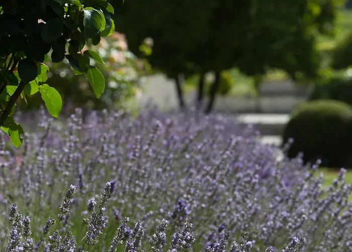 Bed & Breakfast Chateau Du Palanquey & Sainte-Colombe (Gironde)